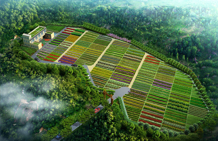 1512443426781041262.jpg 4.jpg